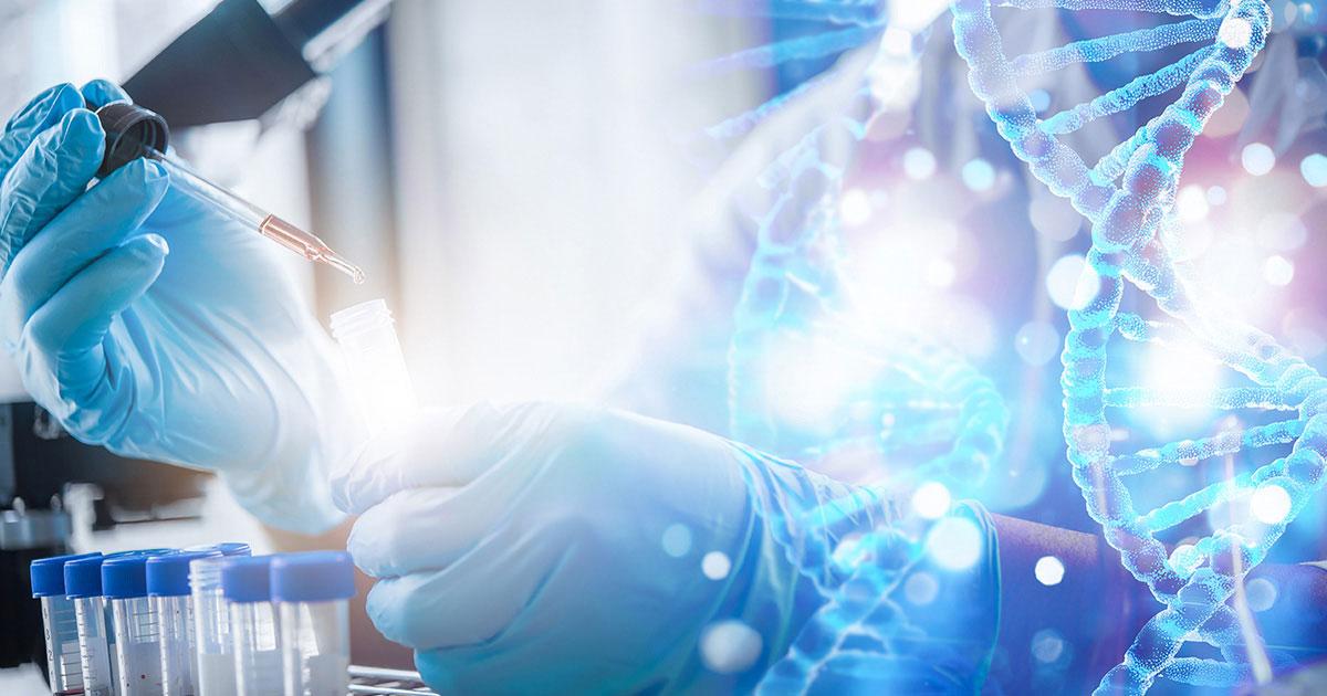Toxicology Studies